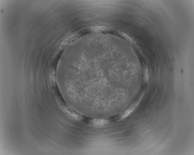 X0000074030766200609111714