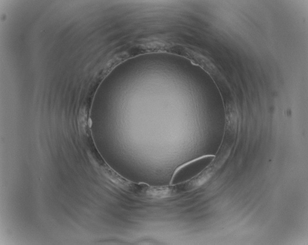 X0000074030767200609111714