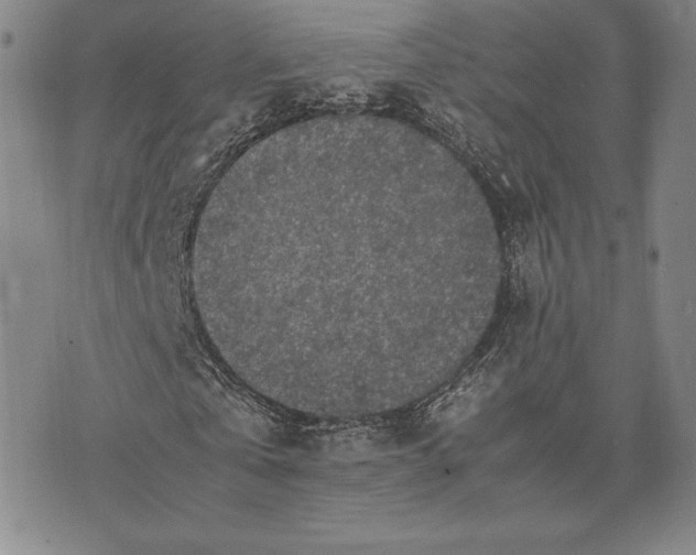 X0000074030769200609111713