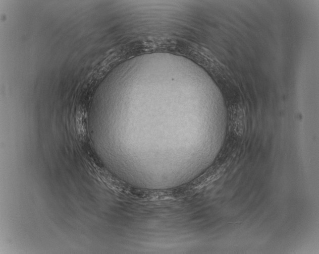 X0000074030770200609111713