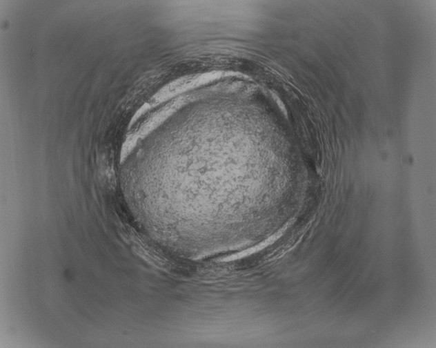 X0000074030771200609111713