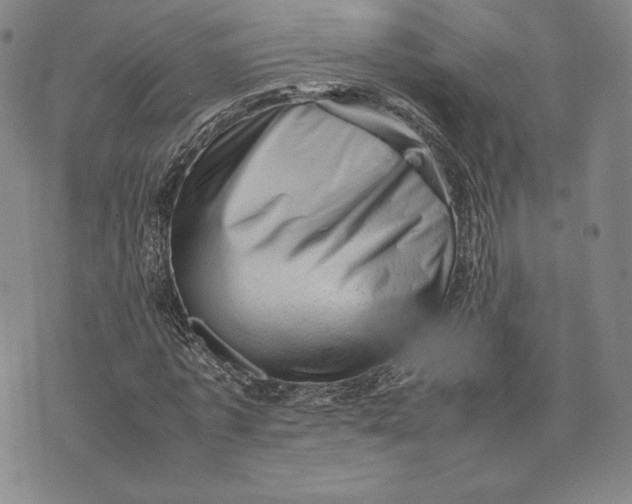 X0000074030773200609111713