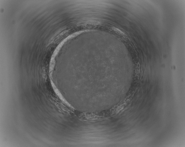 X0000074030774200609111713