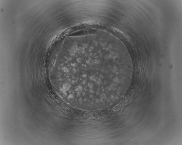 X0000074030776200609111713