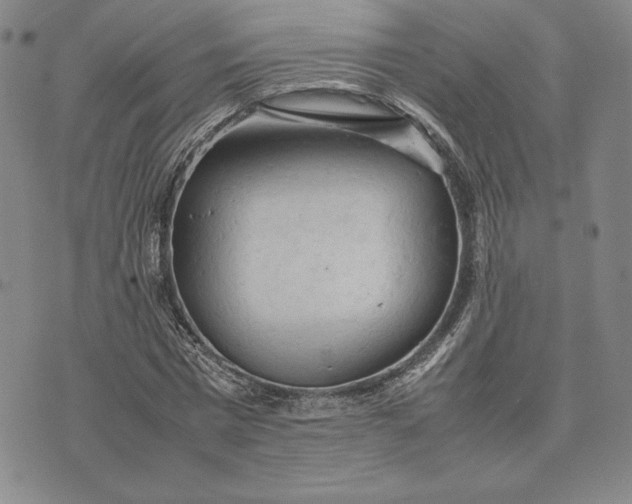 X0000074030777200609111713