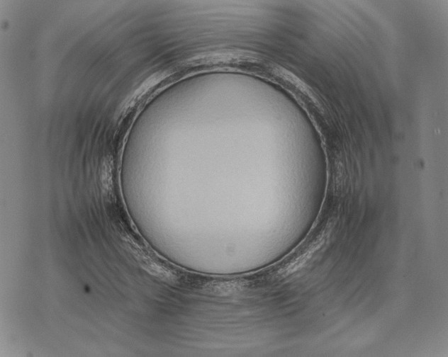 X0000074030778200609111713