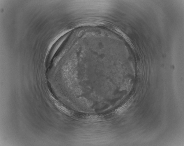 X0000074030779200609111713