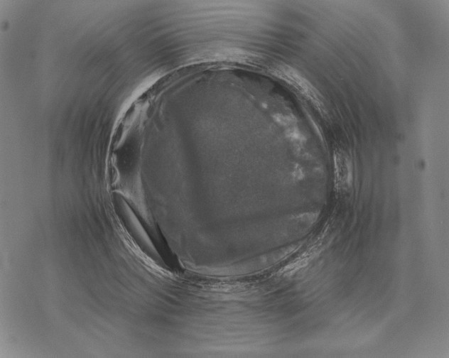 X0000074030780200609111713