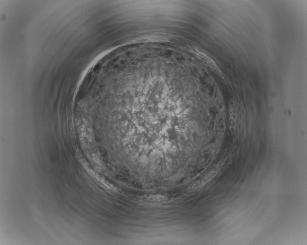 X0000074030784200609111713