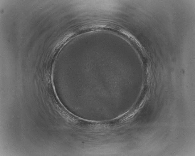 X0000074030785200609111713