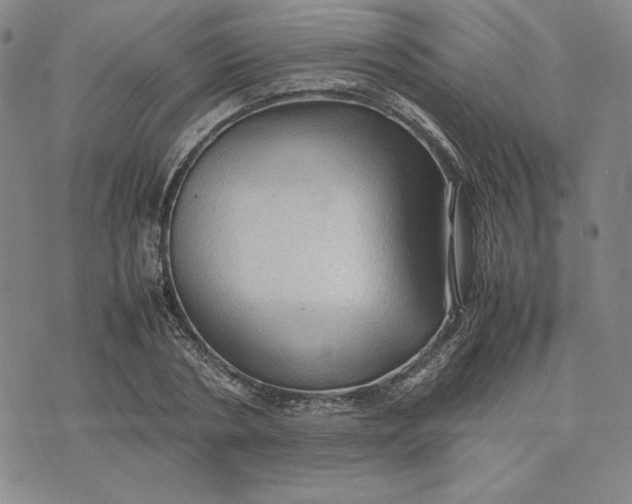 X0000074030786200609111713