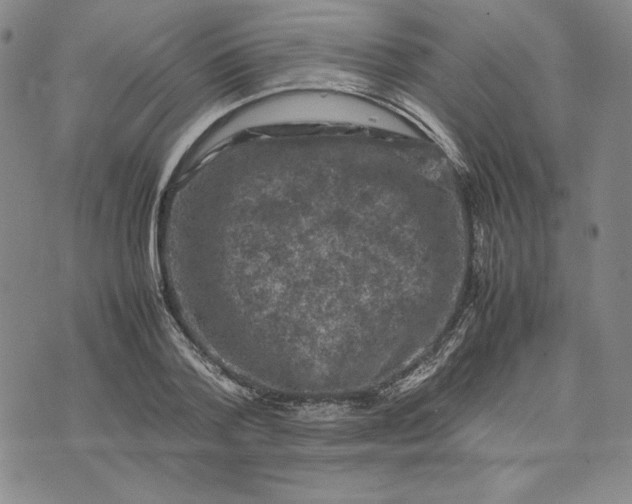 X0000074030788200609111712