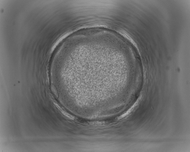 X0000074030789200609111712