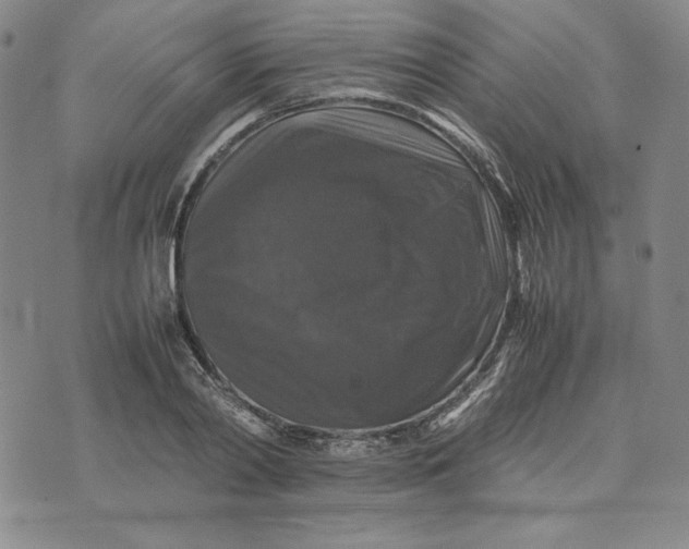 X0000074030790200609111712