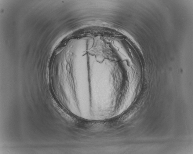 X0000074030791200609111712