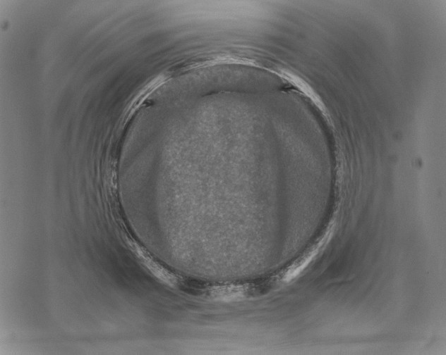 X0000074030793200609111712