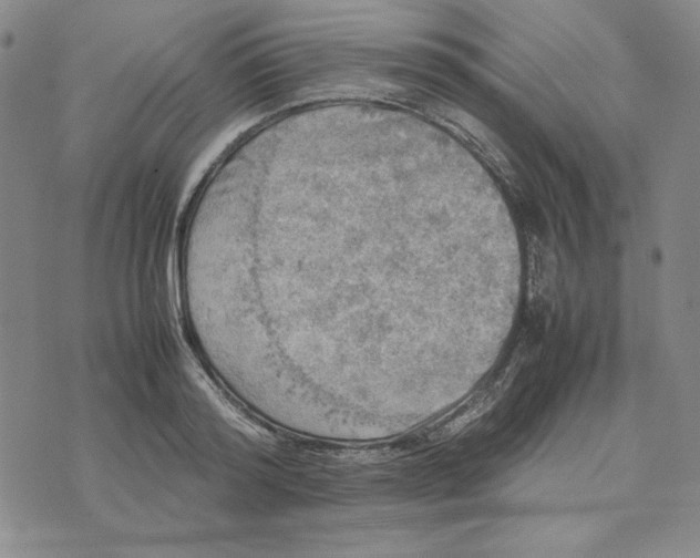 X0000074030796200609111712