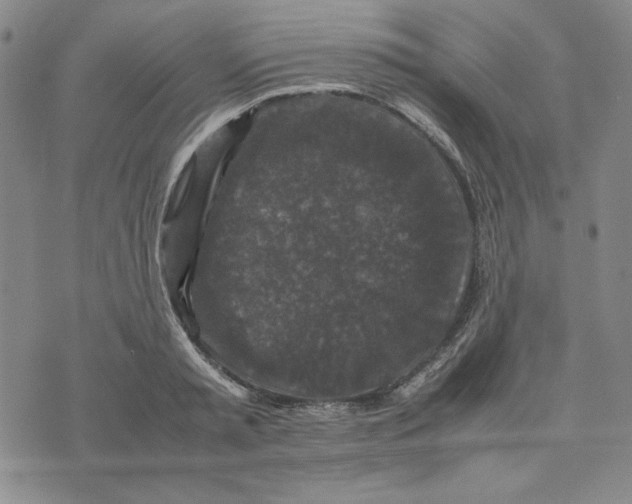 X0000074030797200609111712