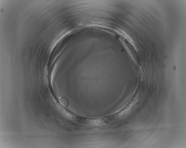 X0000074030798200609111712