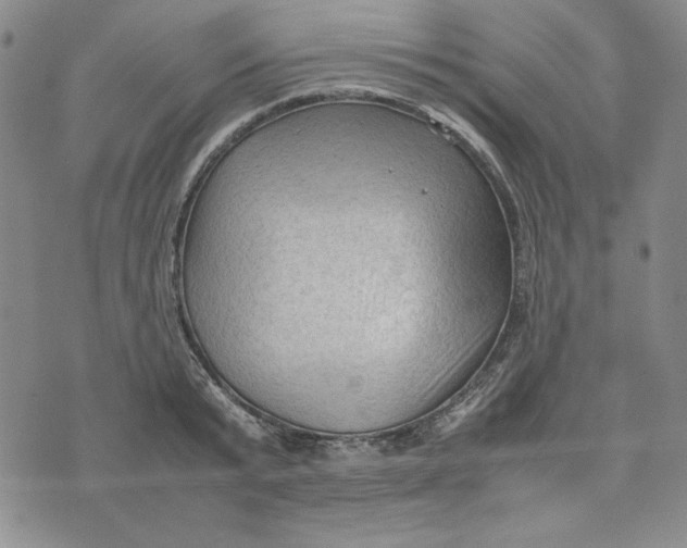 X0000074030799200609111712