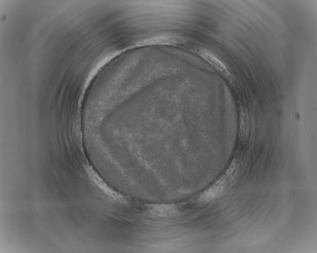 X0000074030800200609111712