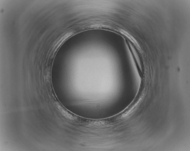 X0000074030801200609111712