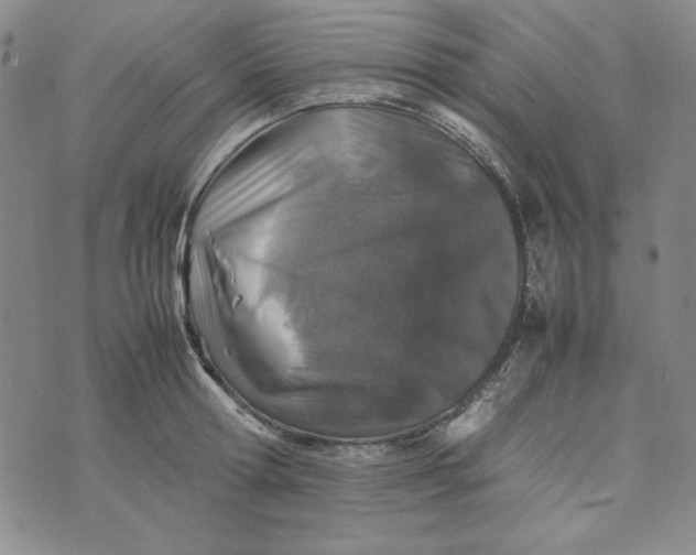 X0000074030802200609111712