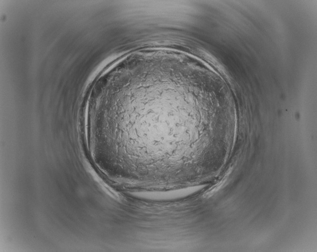 X0000074030803200609111712