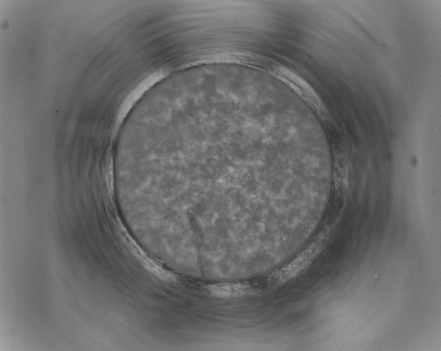 X0000074030804200609111712