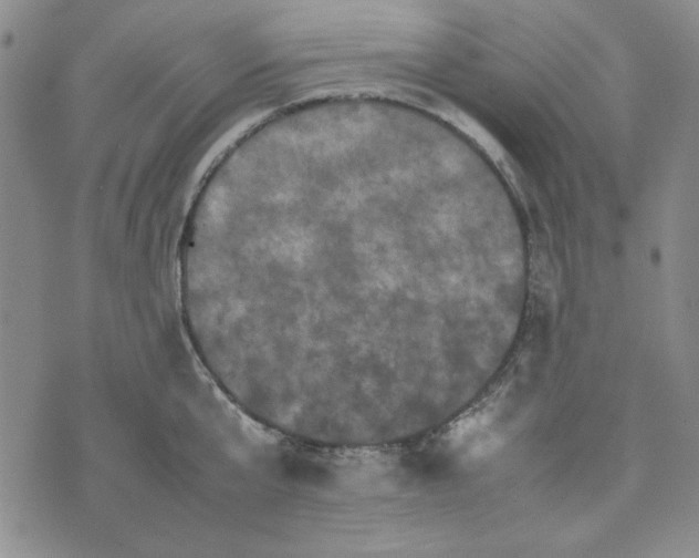 X0000074030807200609111712