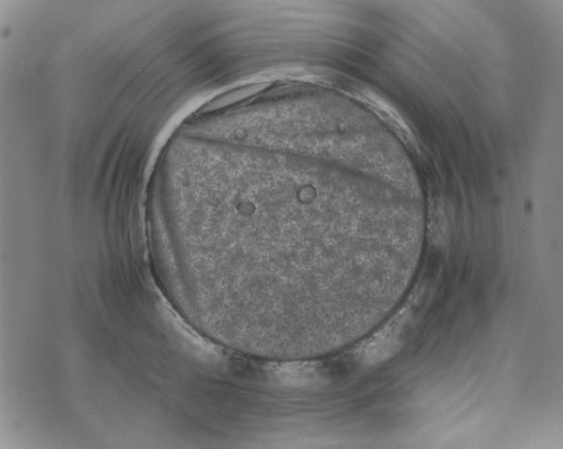 X0000074030808200609111712