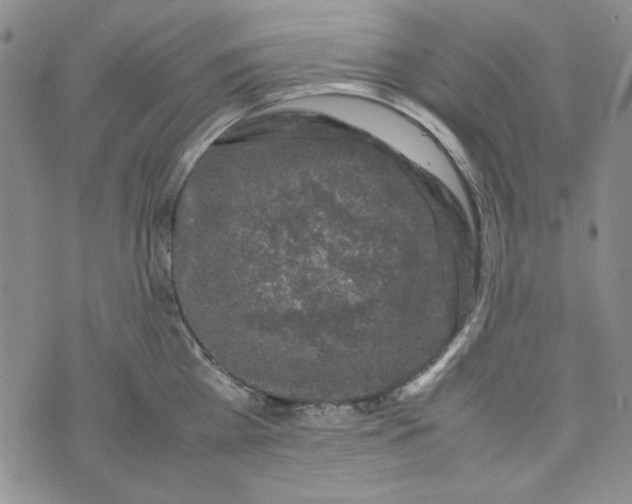 X0000074030809200609111712