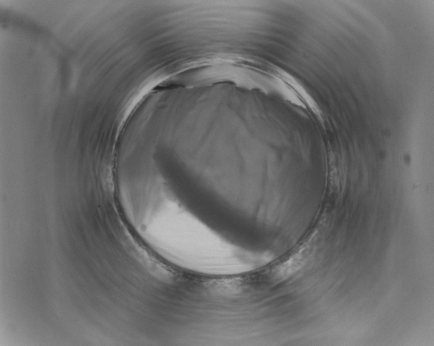 X0000074030810200609111712