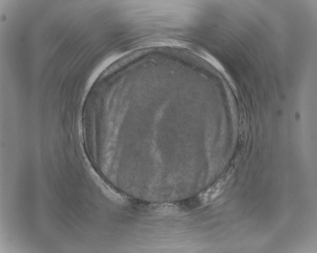 X0000074030811200609111712