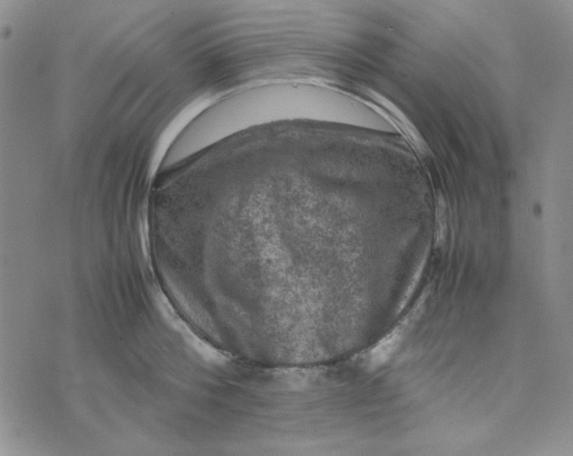 X0000074030812200609111712