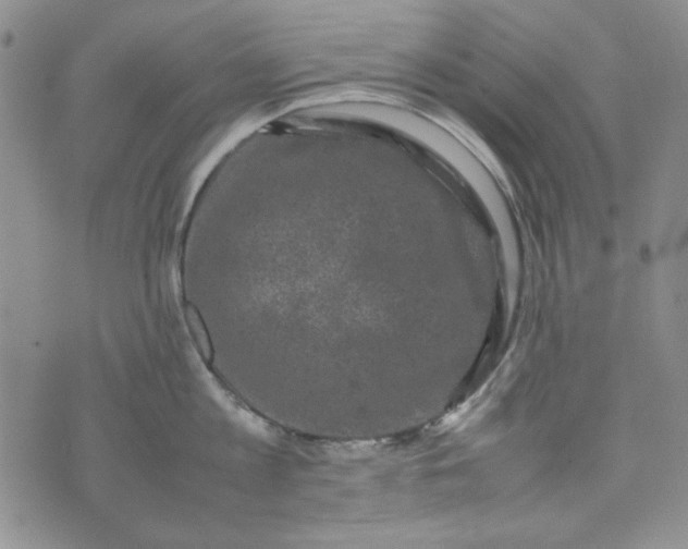 X0000074030813200609111712