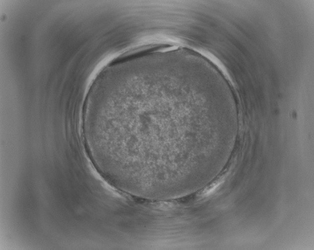 X0000074030815200609111712