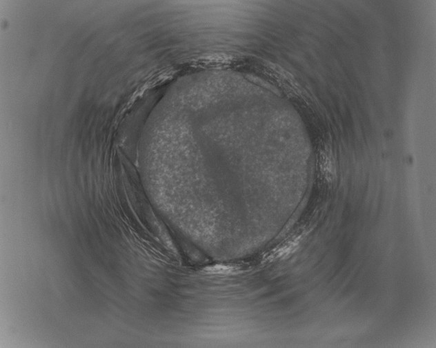 X0000074030818200609111711