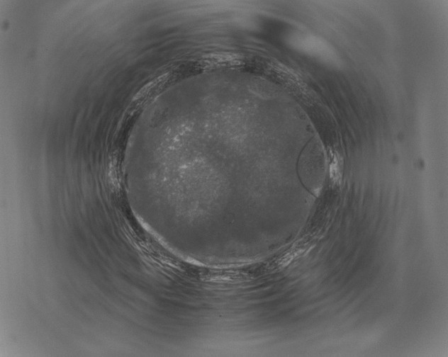 X0000074030819200609111711