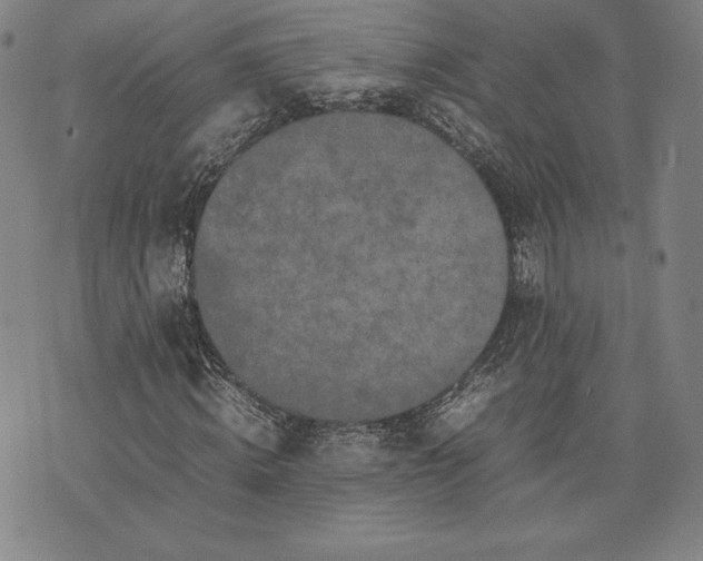 X0000074030820200609111711