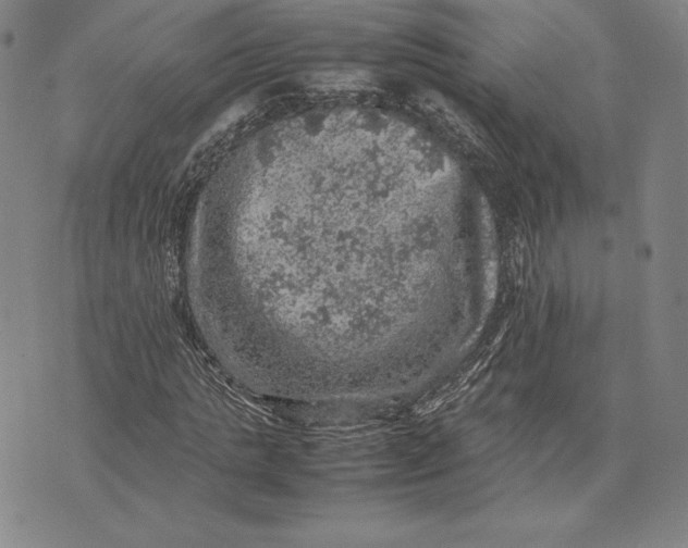 X0000074030821200609111711