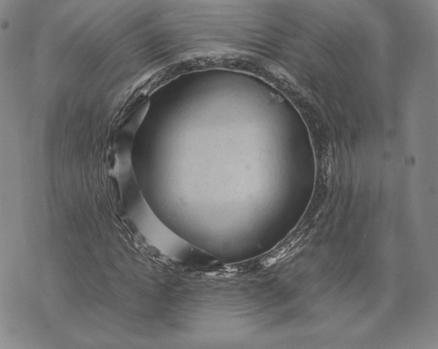 X0000074030822200609111711