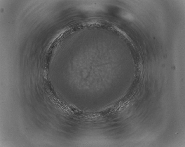 X0000074030823200609111711