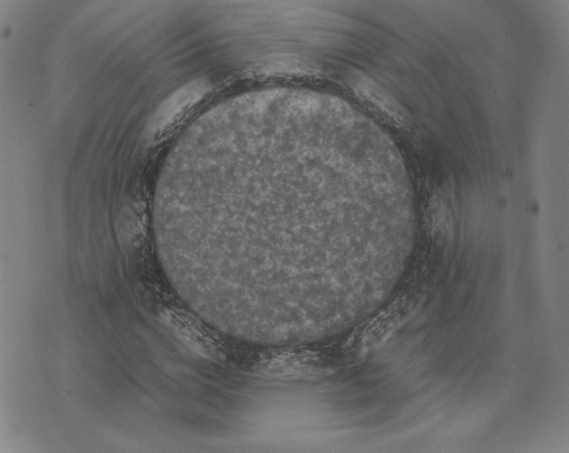 X0000074030824200609111711