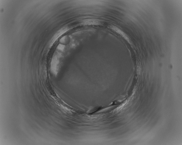 X0000074030829200609111711