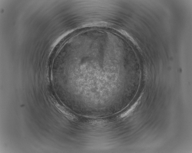 X0000074030830200609111711