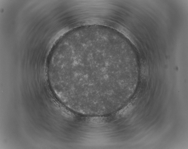 X0000074030832200609111711