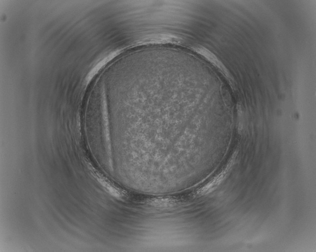 X0000074030834200609111712