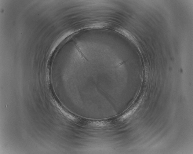 X0000074030835200609111712