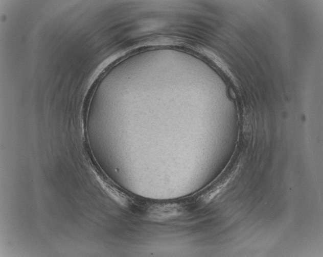 X0000074030837200609111712